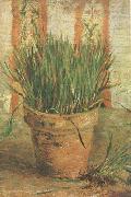 Vincent Van Gogh Flowerpot with Chives (nn04) Sweden oil painting reproduction